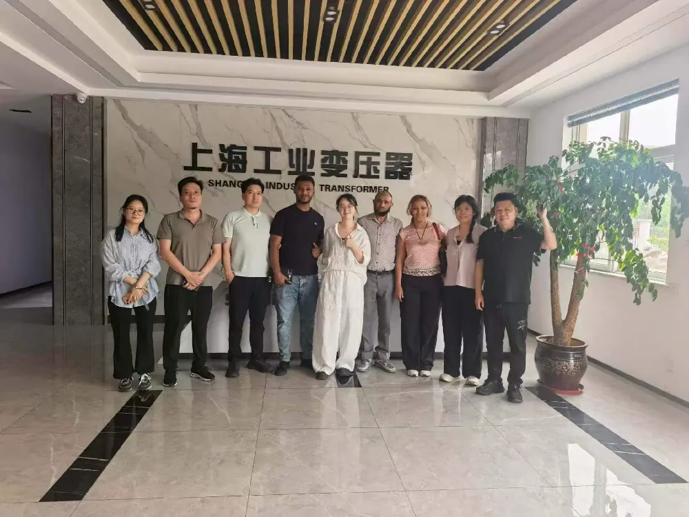 Ласкаво просимо! Ефіопська делегація відвідала Shanghai Industrial Transformer Co., Ltd. для обміну трансформаторами та обладнанням для розподілу електроенергії